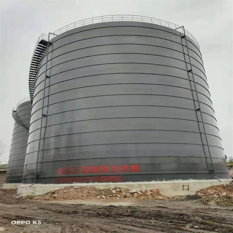 珲春3万吨大型钢板库